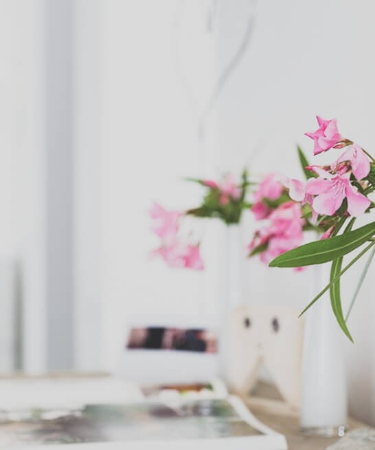 Liebe fürs Detail: In der Villa Mundgesund werden die Patient:innen mit frischen Blumen begrüßt.